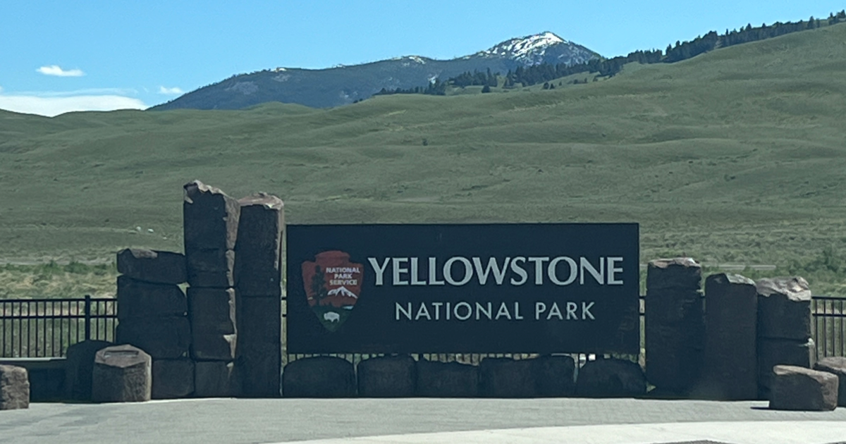 Our First Few Weeks at Yellowstone